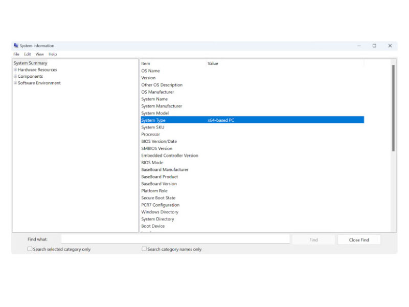 System Type, highlighted